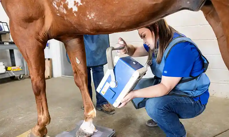 Credit Card Authorization Form