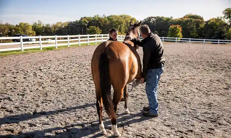 Gastroscopy Consent Form