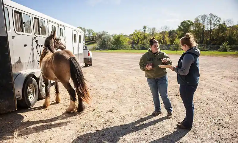 Informational Videos