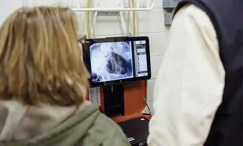 Diagnosing an illness