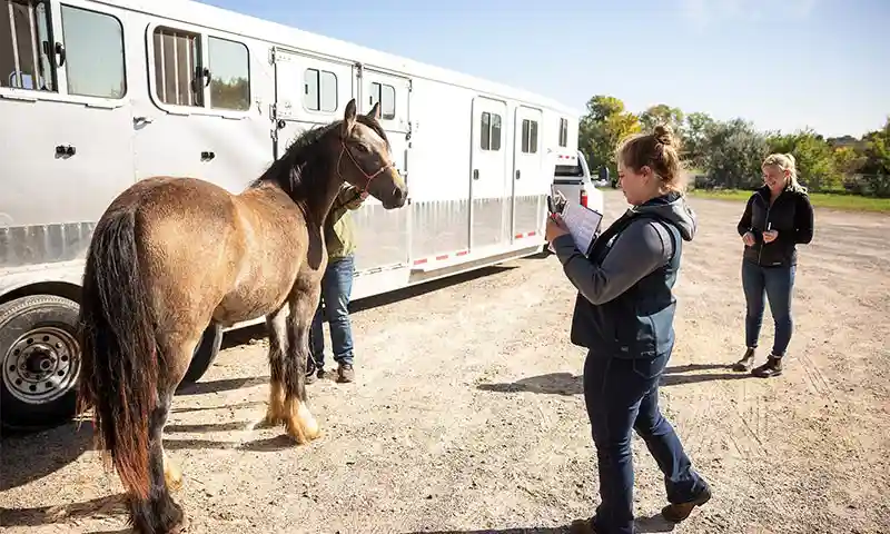 Medical Records Release Form