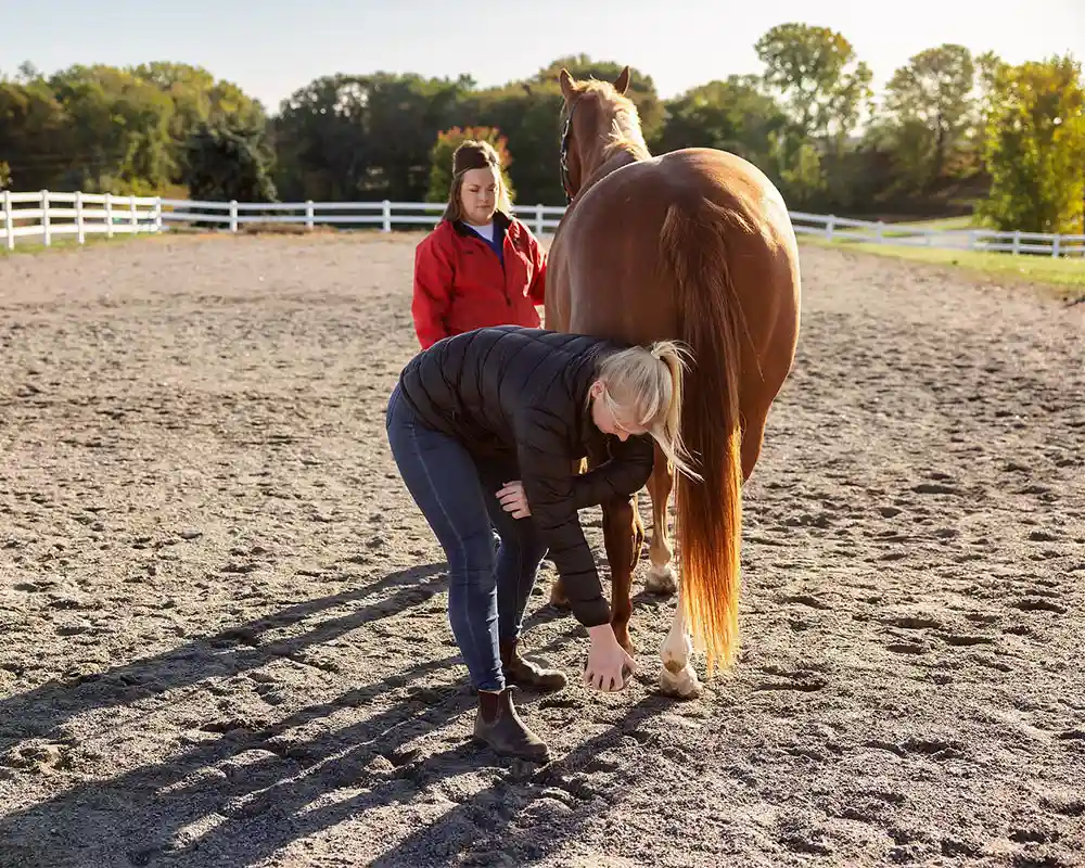 Checking a hoof