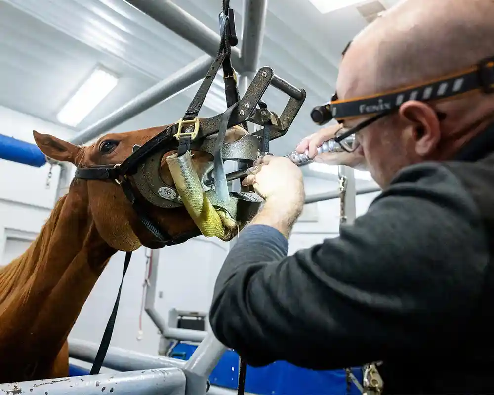 A dental procedure underway
