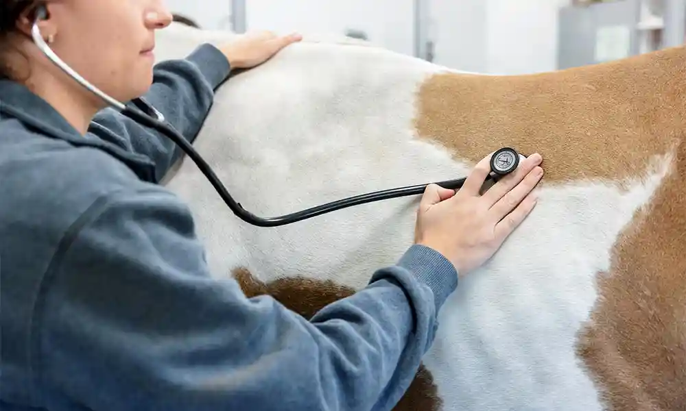 Caring for one of our patients