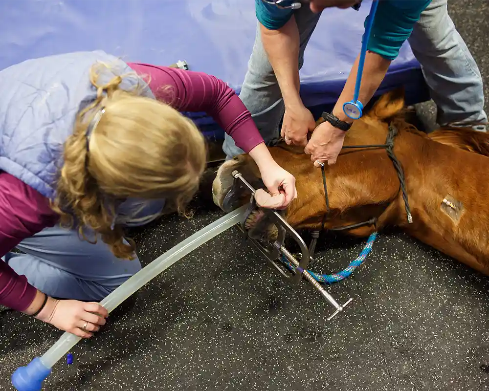 Fitting a feeding tube