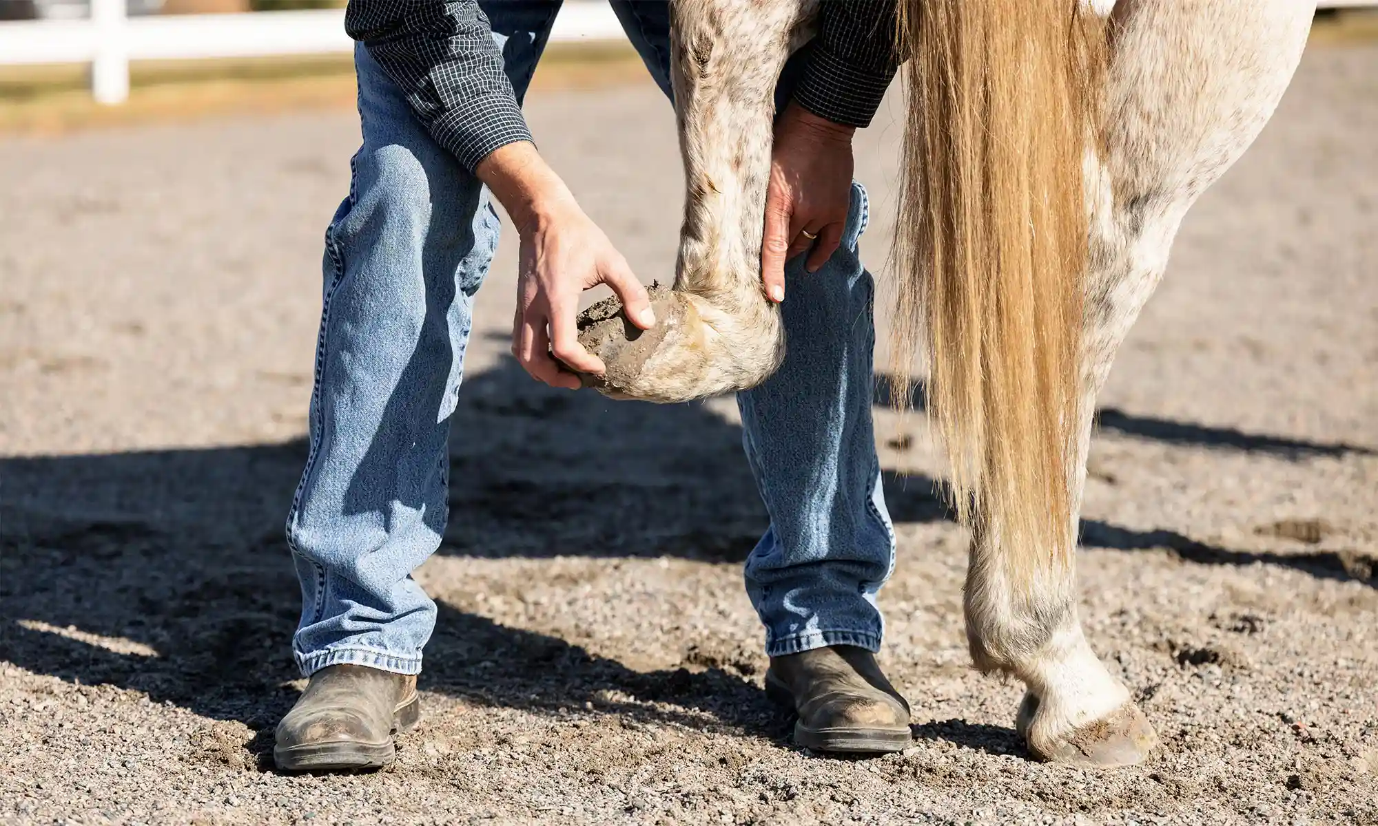 Cleaning a hoof