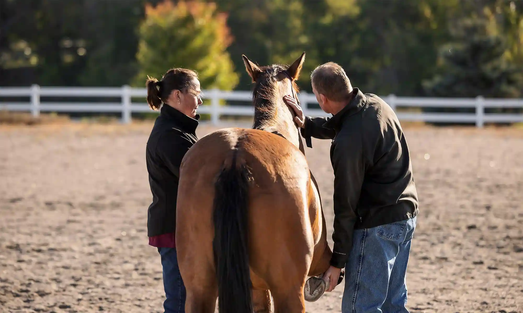 Out with a horse in the yard