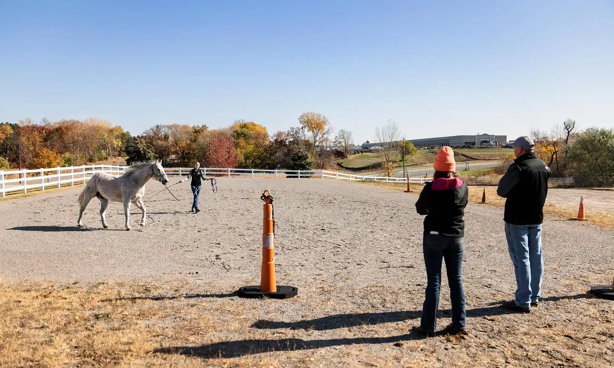 Exercising a patient