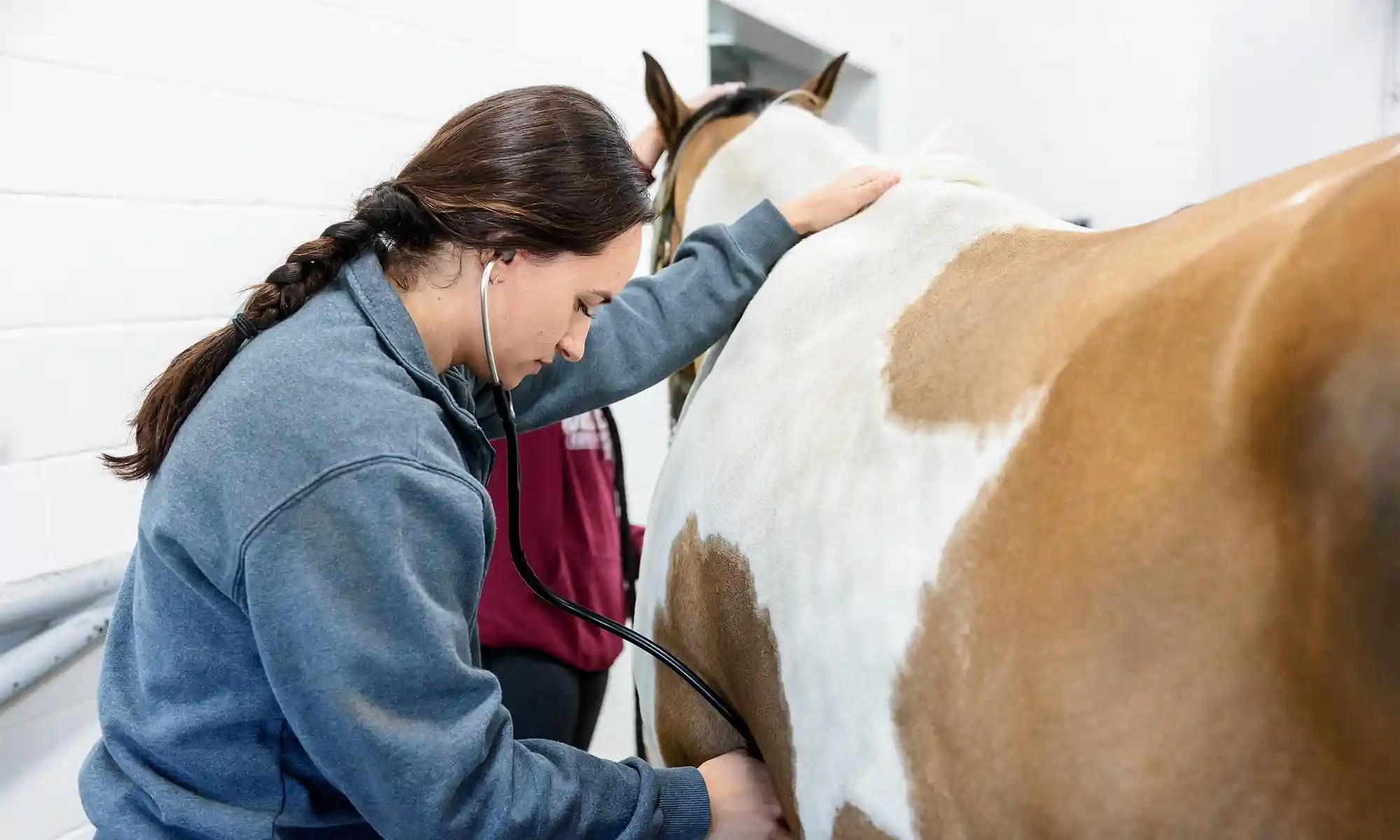 A wellness examination