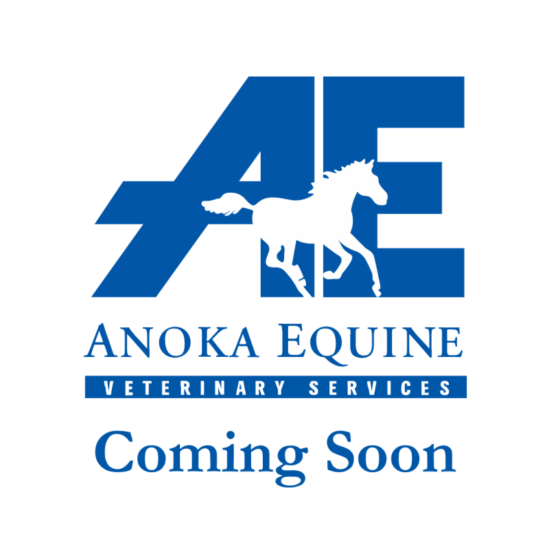 J.C. Thieke, DVM, Veterinarian & Owner of Anoka Equine